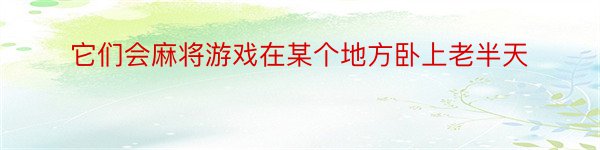 它们会麻将游戏在某个地方卧上老半天