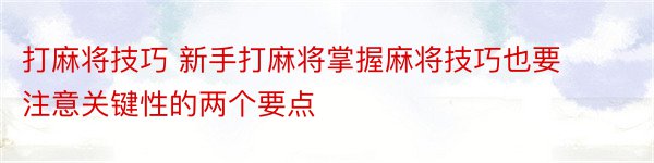 打麻将技巧 新手打麻将掌握麻将技巧也要注意关键性的两个要点