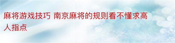 麻将游戏技巧 南京麻将的规则看不懂求高人指点