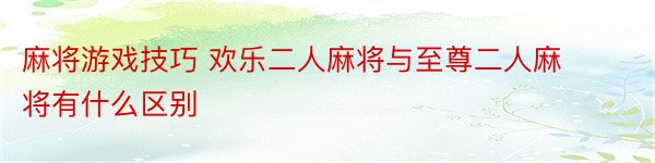 麻将游戏技巧 欢乐二人麻将与至尊二人麻将有什么区别