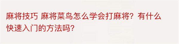 麻将技巧 麻将菜鸟怎么学会打麻将？有什么快速入门的方法吗？