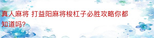 真人麻将 打益阳麻将梭杠子必胜攻略你都知道吗？