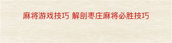 麻将游戏技巧 解剖枣庄麻将必胜技巧