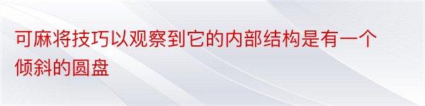 可麻将技巧以观察到它的内部结构是有一个倾斜的圆盘