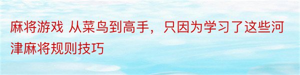 麻将游戏 从菜鸟到高手，只因为学习了这些河津麻将规则技巧