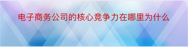 电子商务公司的核心竞争力在哪里为什么