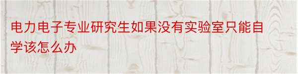 电力电子专业研究生如果没有实验室只能自学该怎么办