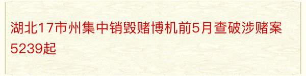 湖北17市州集中销毁赌博机前5月查破涉赌案5239起