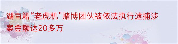 湖南籍“老虎机”赌博团伙被依法执行逮捕涉案金额达20多万