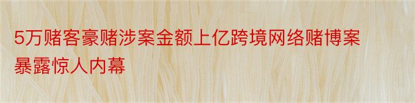 5万赌客豪赌涉案金额上亿跨境网络赌博案暴露惊人内幕