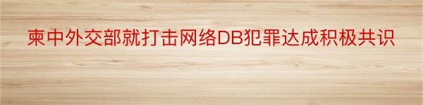 柬中外交部就打击网络DB犯罪达成积极共识