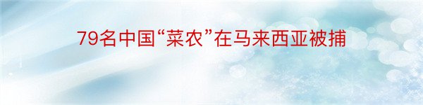 79名中国“菜农”在马来西亚被捕