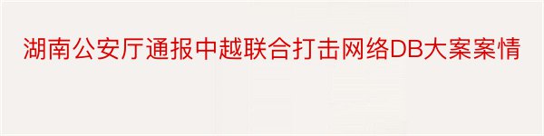 湖南公安厅通报中越联合打击网络DB大案案情